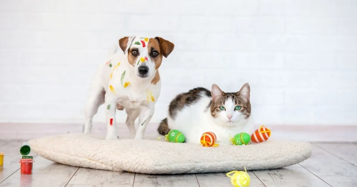 14 Profitable Pet Crafts to Make and Sell From Home