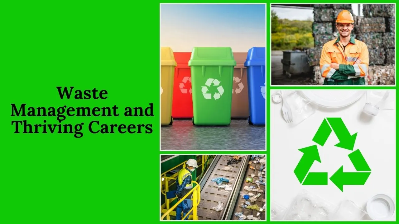 Exploring Waste Management and Thriving Careers in the Industry