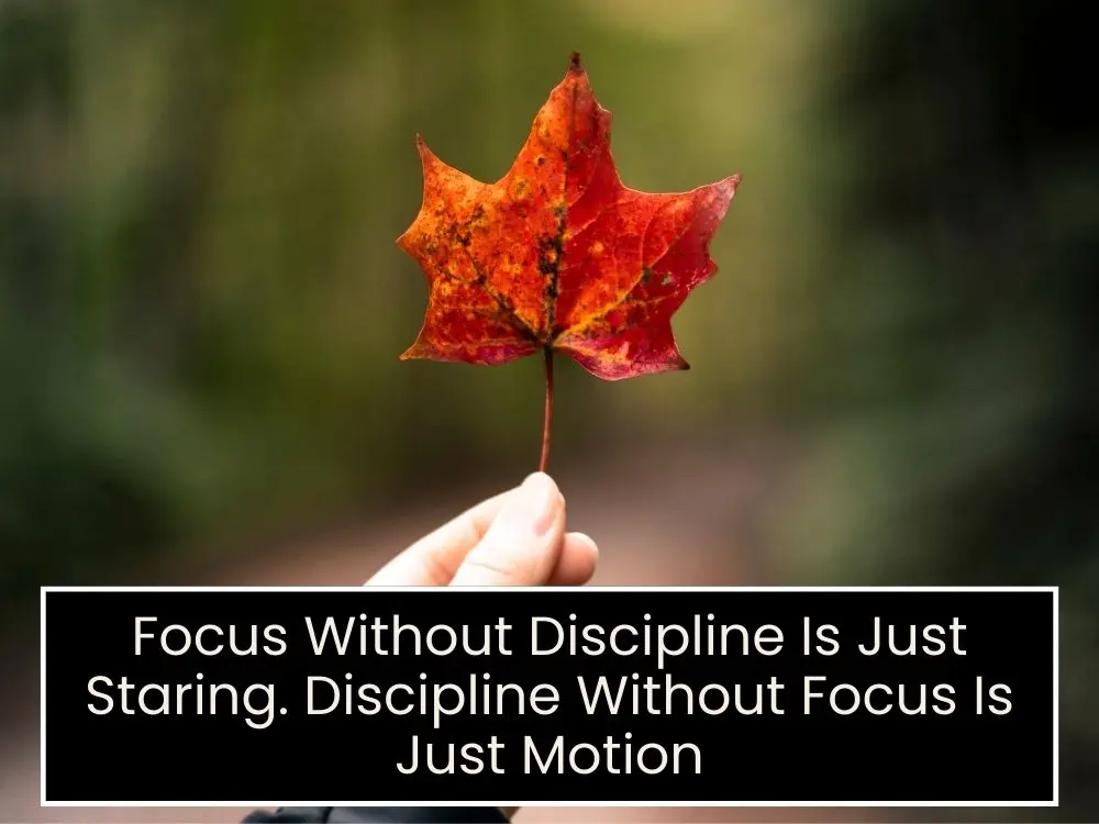 Discipline Quotes for Focus