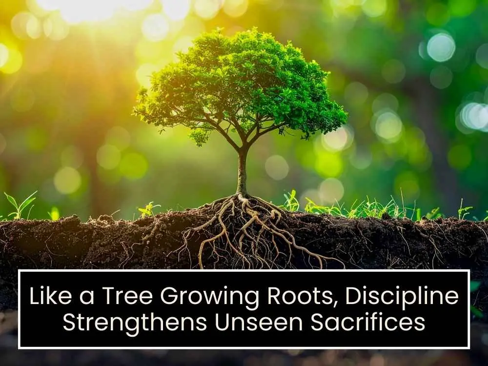 Discipline Quotes for Sacrifice