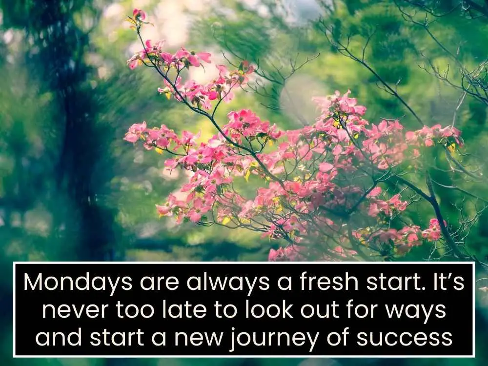 Monday Mindset Quotes to Inspire Positivity