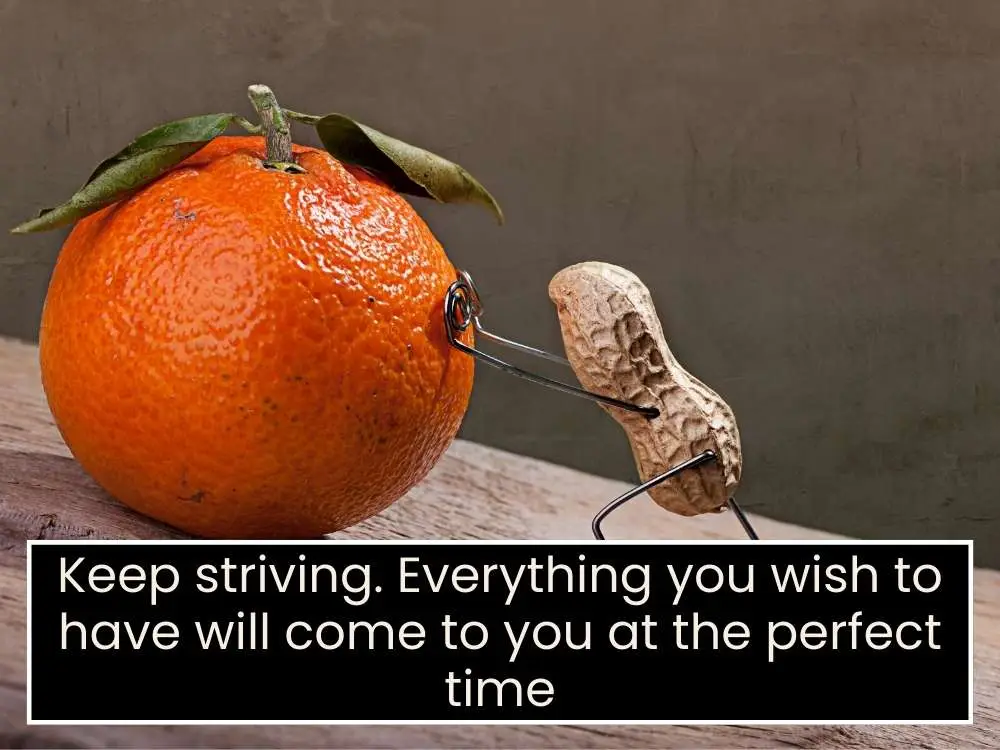 Monday Productivity Quotes