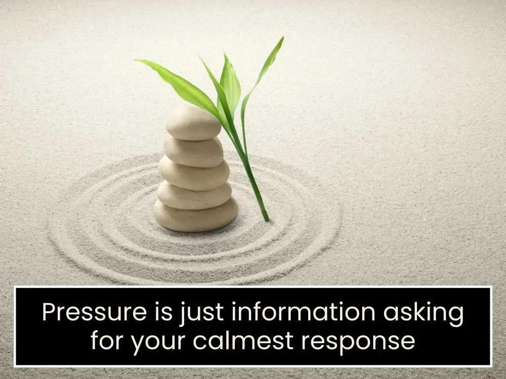 Quotes About Decision Making Under Pressure