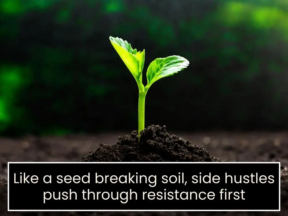 Risk-Taking Quotes for Side Hustlers