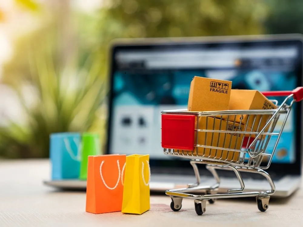 Set Up Your Dropshipping Store
