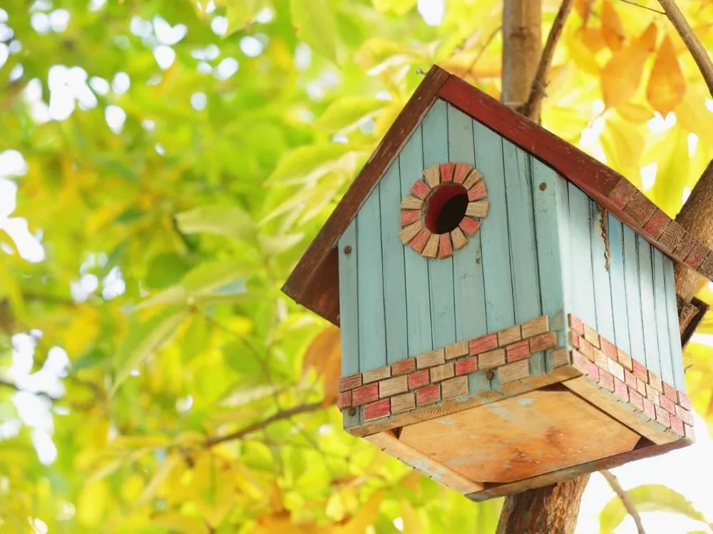 wooden birdhouse