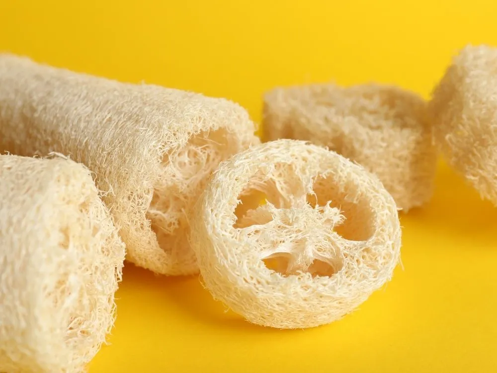 Natural Loofah Sponge