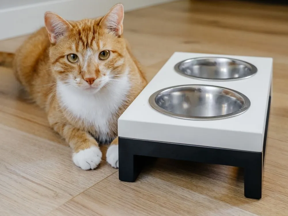 TV Stand Pet Feeding Station