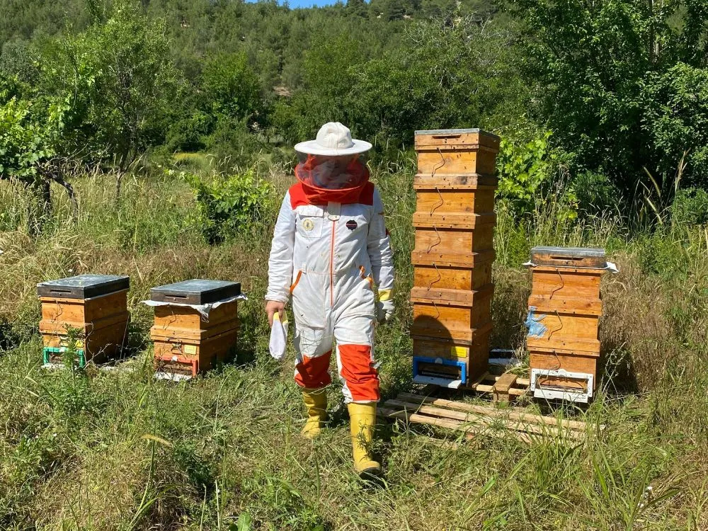 Beekeeping - Honey Selling