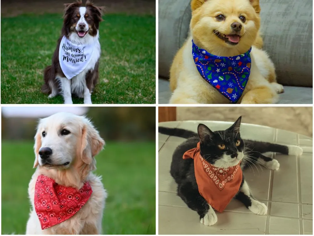 Cute Pet Bandanas