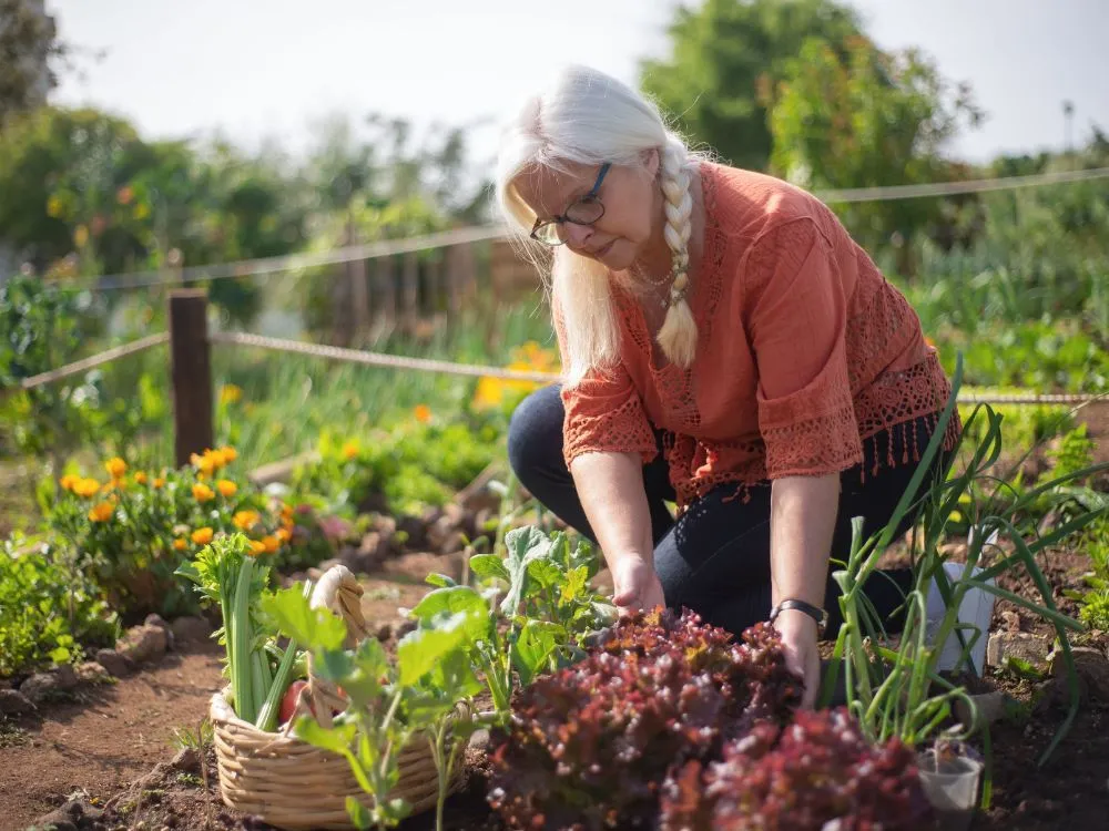 gardening side hustle