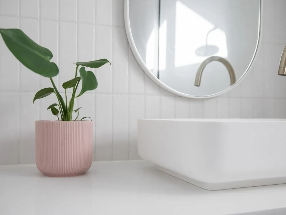 3D-Printed Bathroom Plant Pot