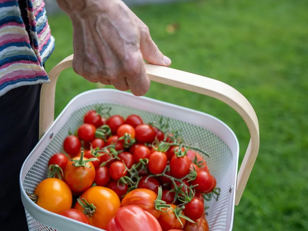 3d-Printed Garden Harvest Basket
