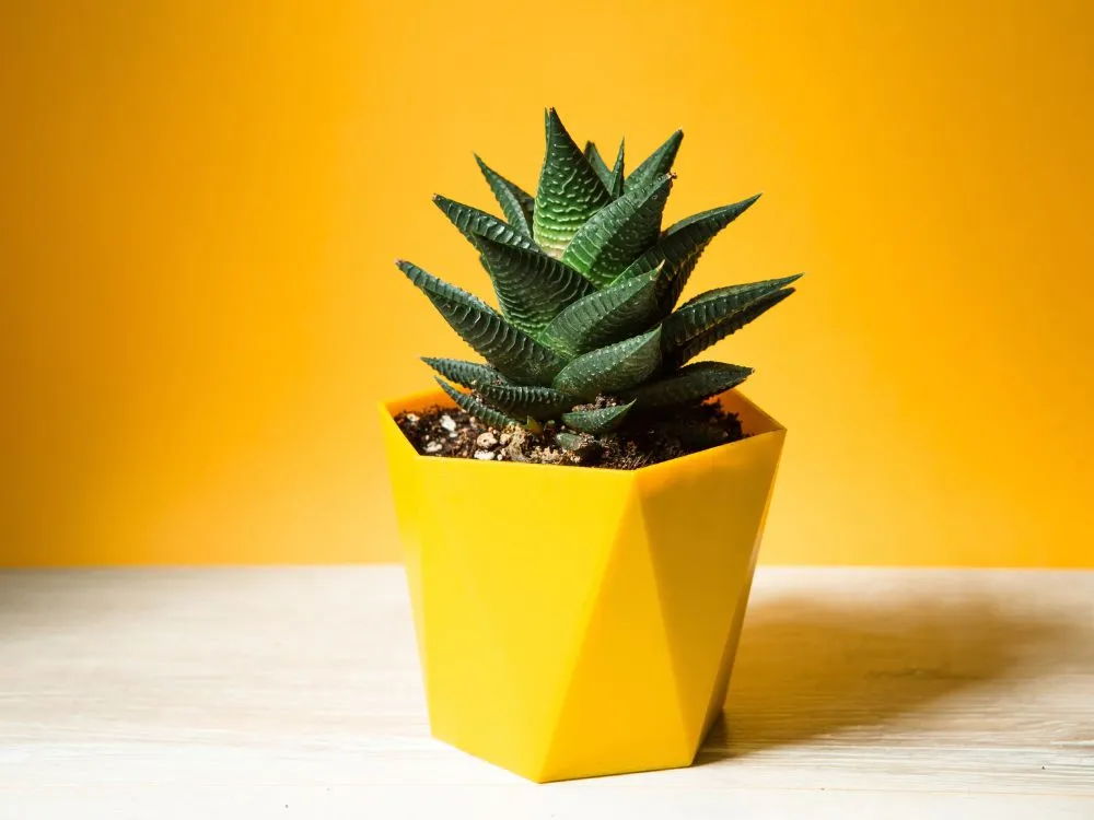 3d Printed Mini Desktop Planter