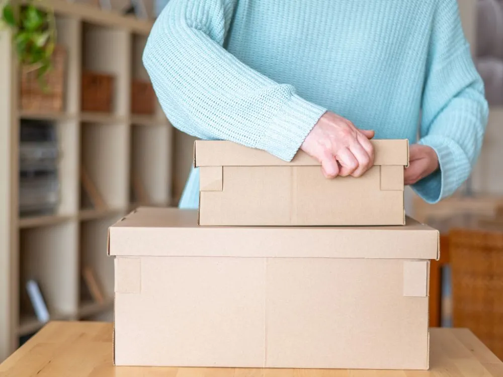 Cardboard Storage Box