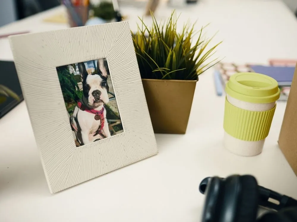 Condolence Messages for a Coworker Losing a Pet