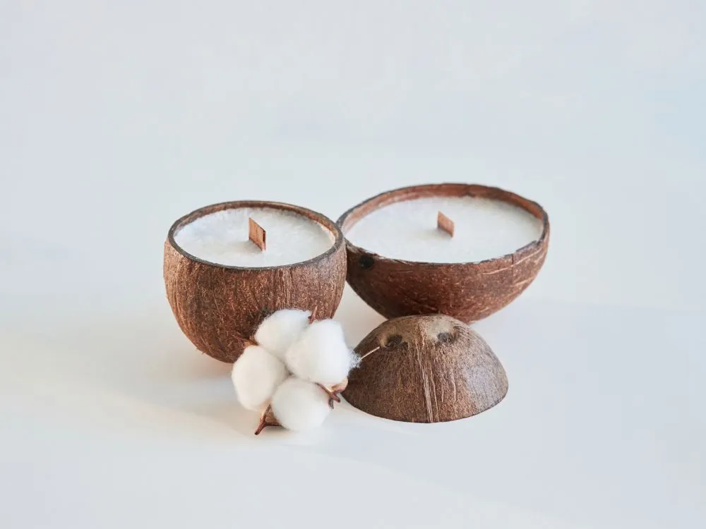 Cute Coconut Shell Candle Holder