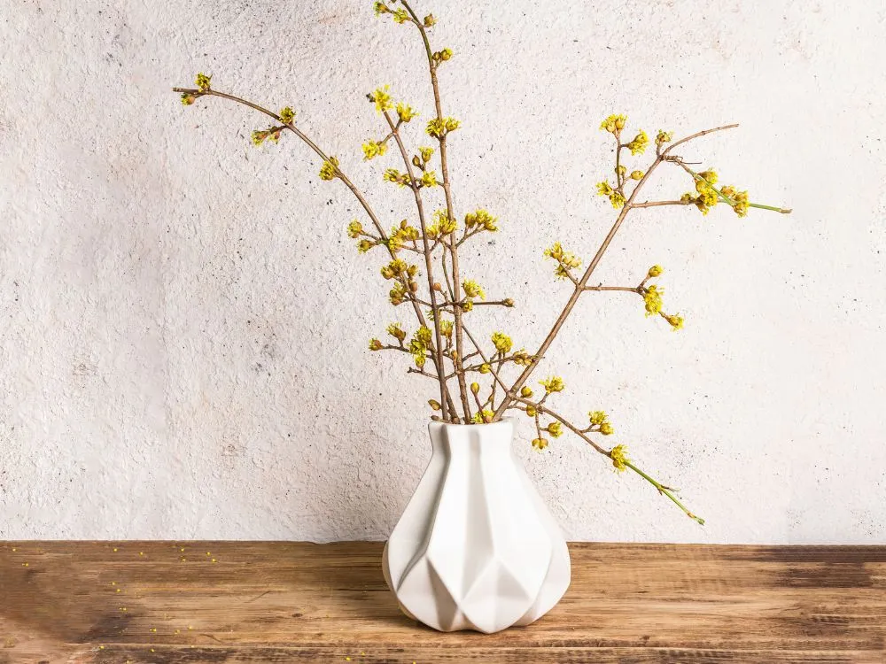Decorative Vase 3D-Printed