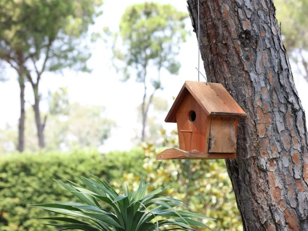 Handmade Wooden Birdhouse