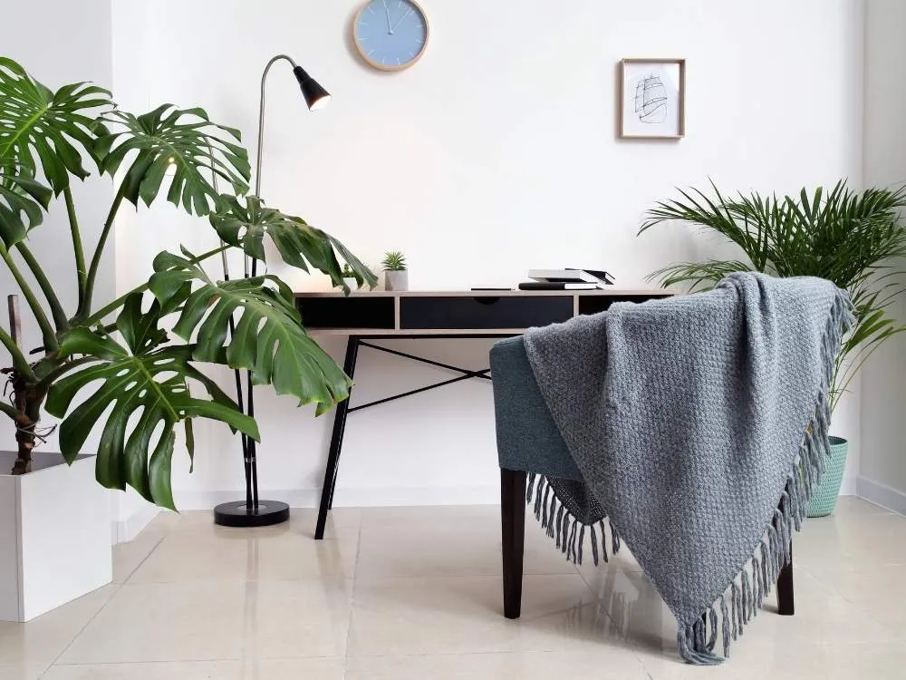 Home Office Cozy Throw Blanket