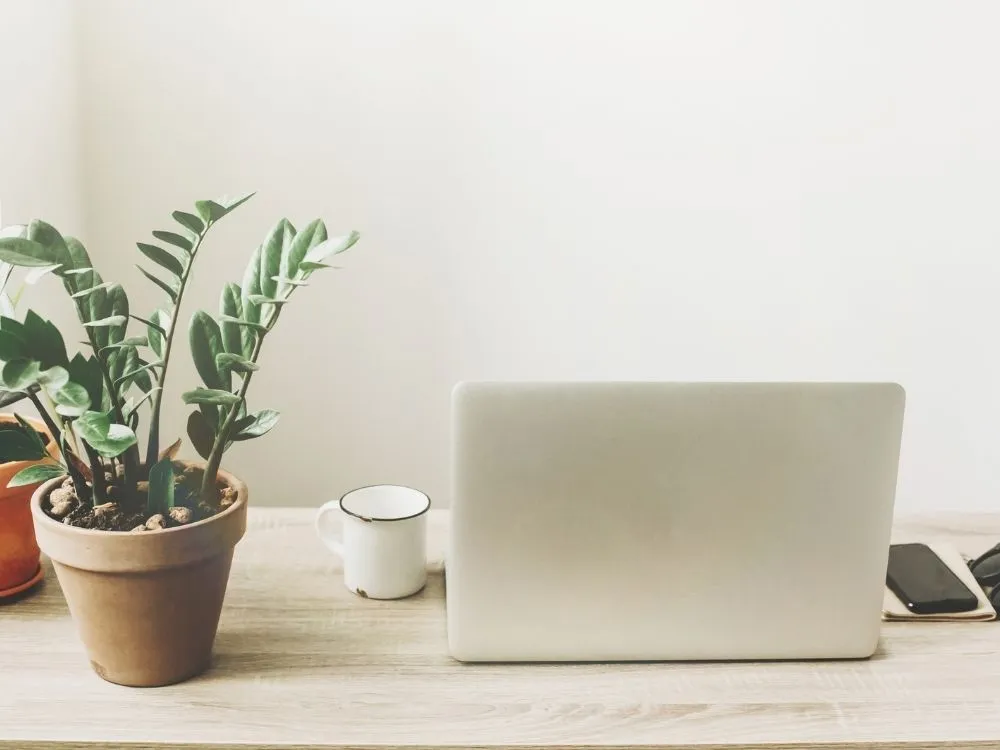Home Office Desk Plant
