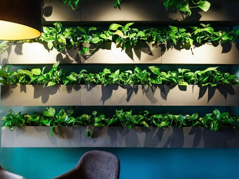 Office Vertical Plant Garden