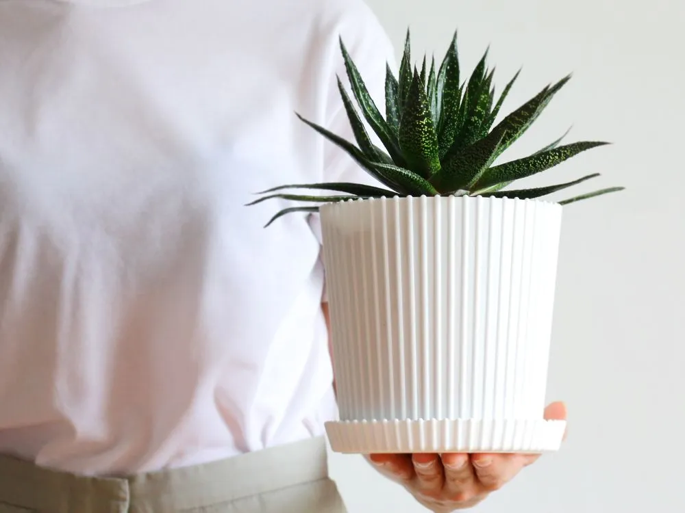Plant Pot 3D-Printed