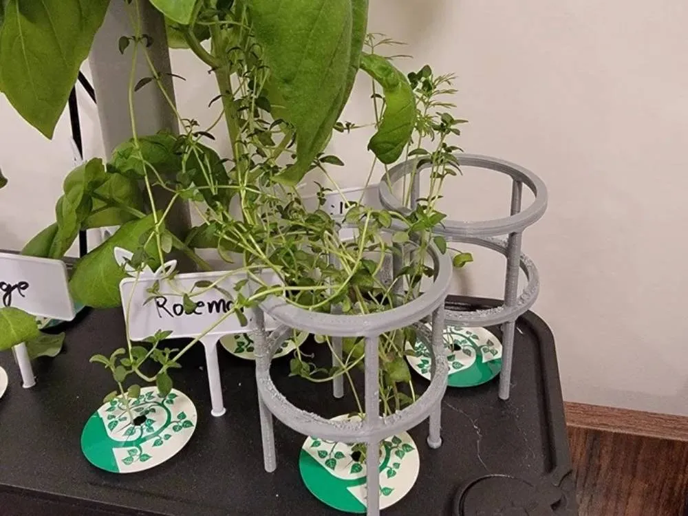 Plant Trellises