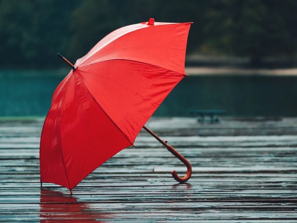 Premium Umbrella