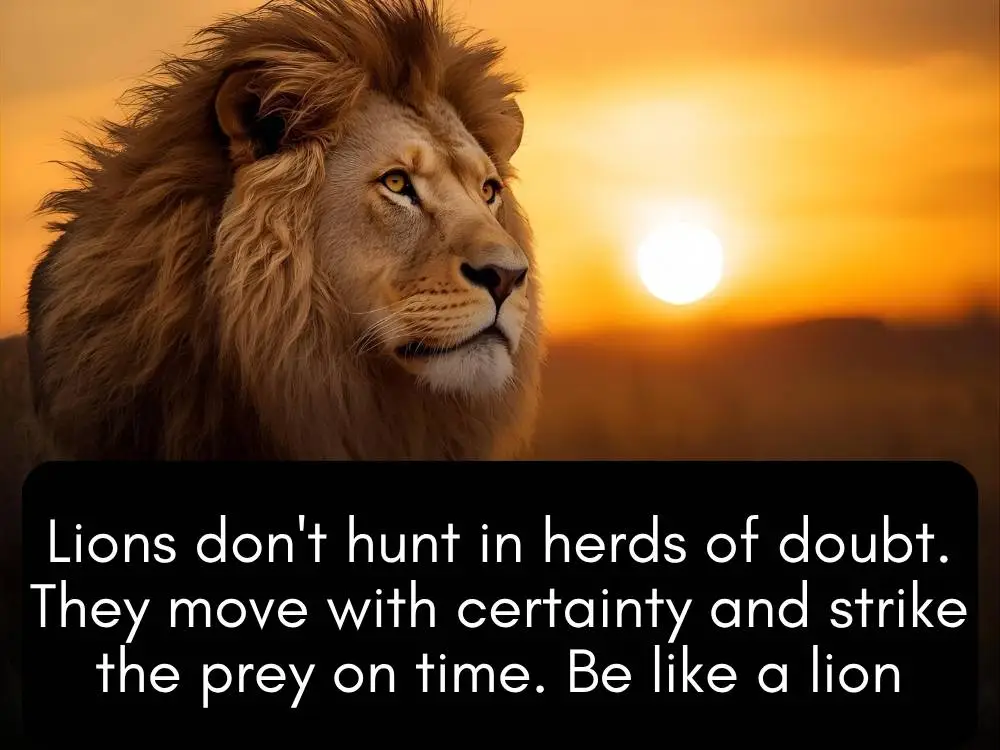 Quotes About Staying Hungry and Humble