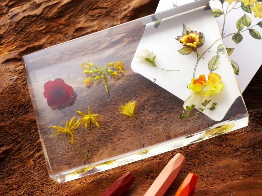 Resin Flower Embedded Soap Dish