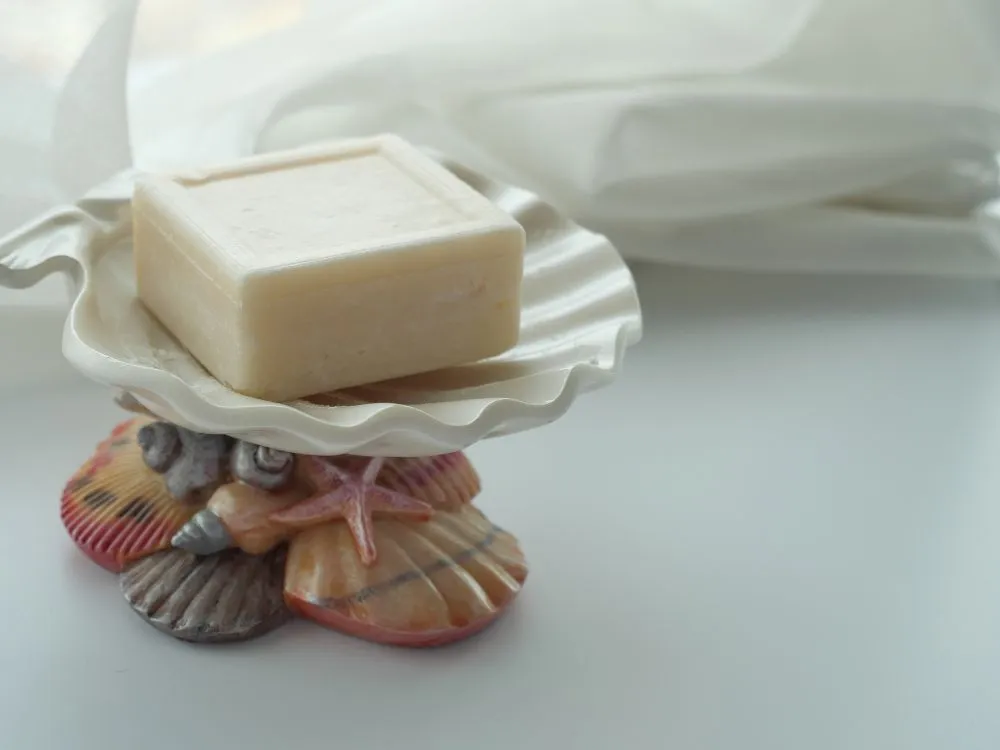 Seashell Soap Dish