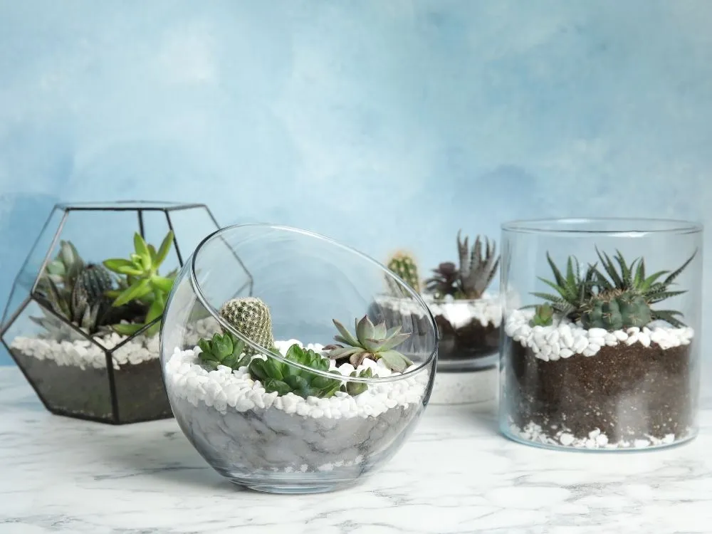 Terrarium Garden Gift