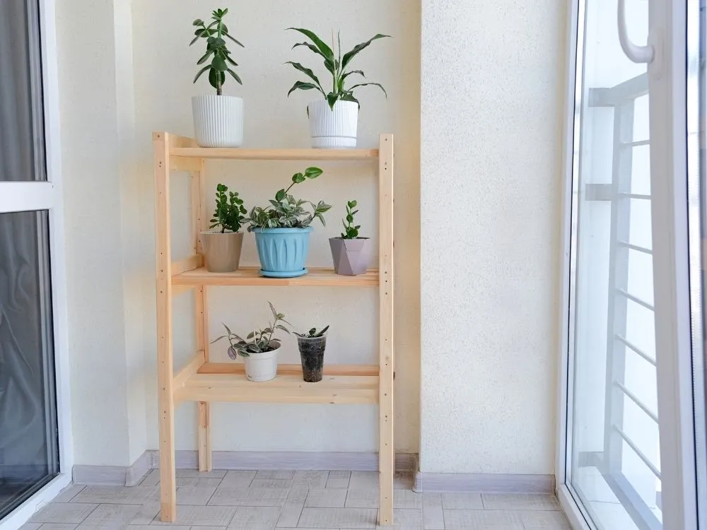 Wooden Plant Stands