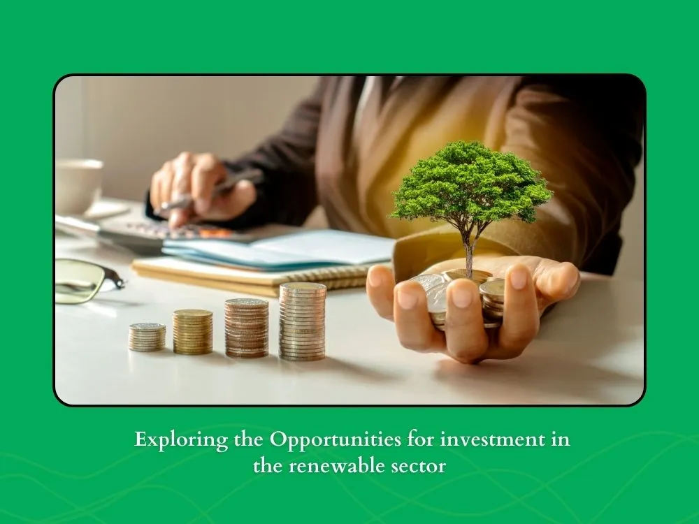 Opportunities for Investment in the Renewable Sector - An image highlighting the investment prospects within the renewable energy industry.
