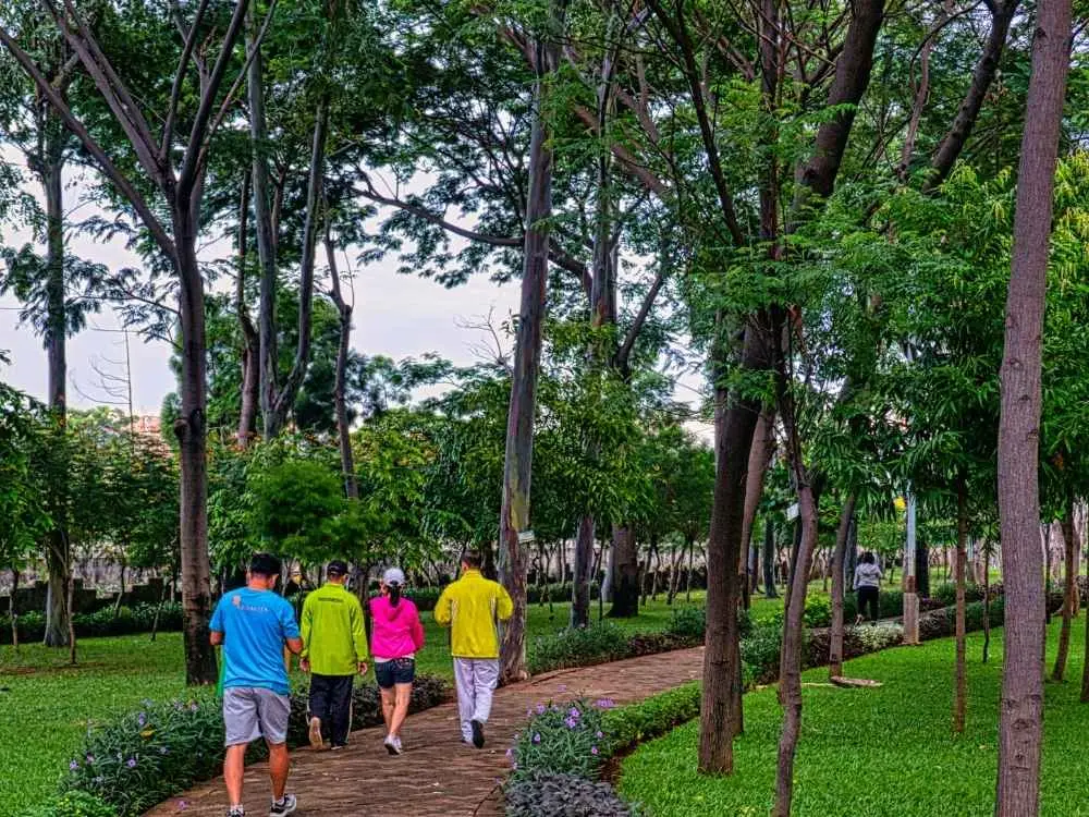 Nature Walk Conversation