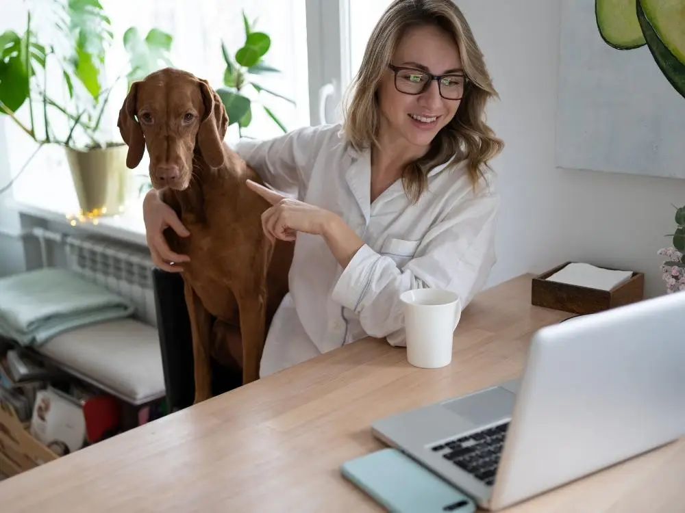 Pet Introductions for Virtual Team Building