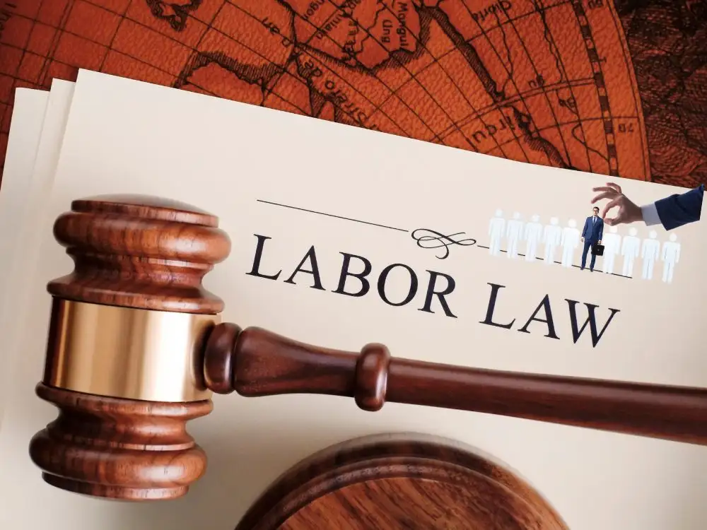 Employment and labor law