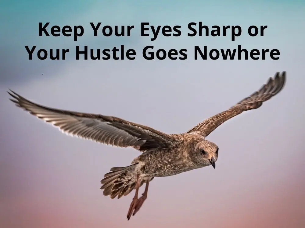 Hustle Quotes About Focus
