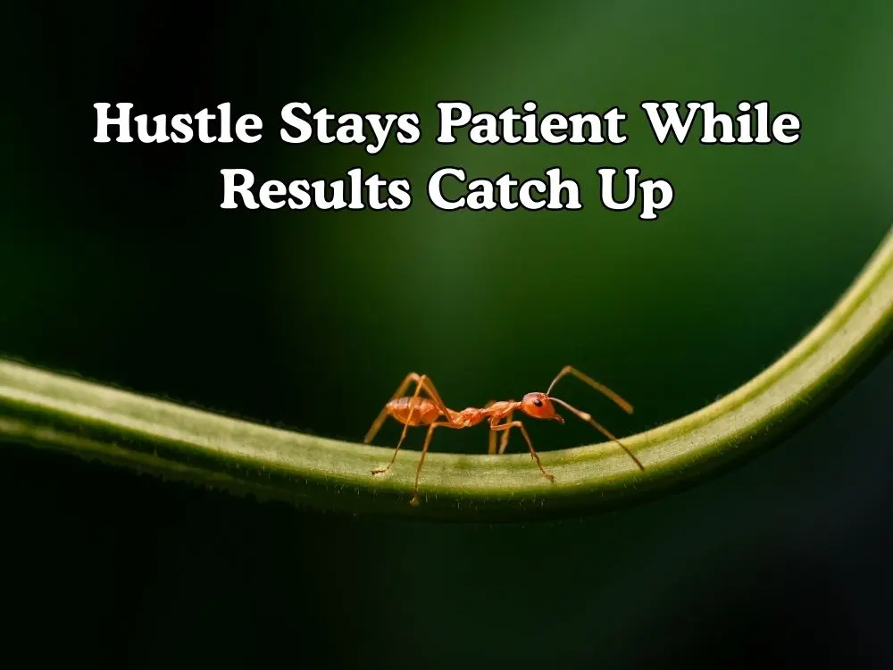 Hustle Quotes About Hard Work