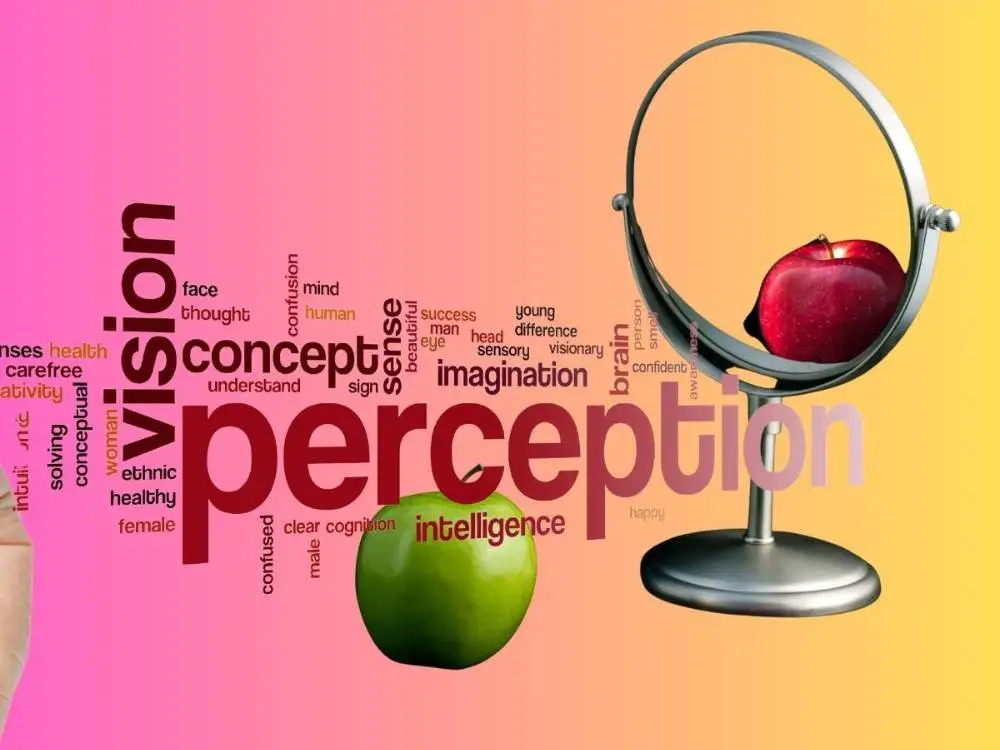 Impact of Perceptions on Buying Behavior