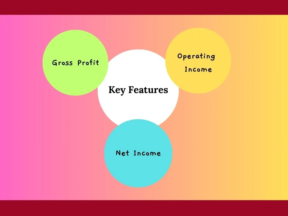 Key Features of Multi Step Income Statement