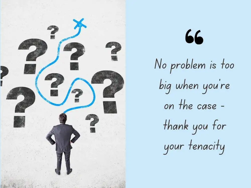 Employee Appreciation Quotes: Problem-Solving and Resilience